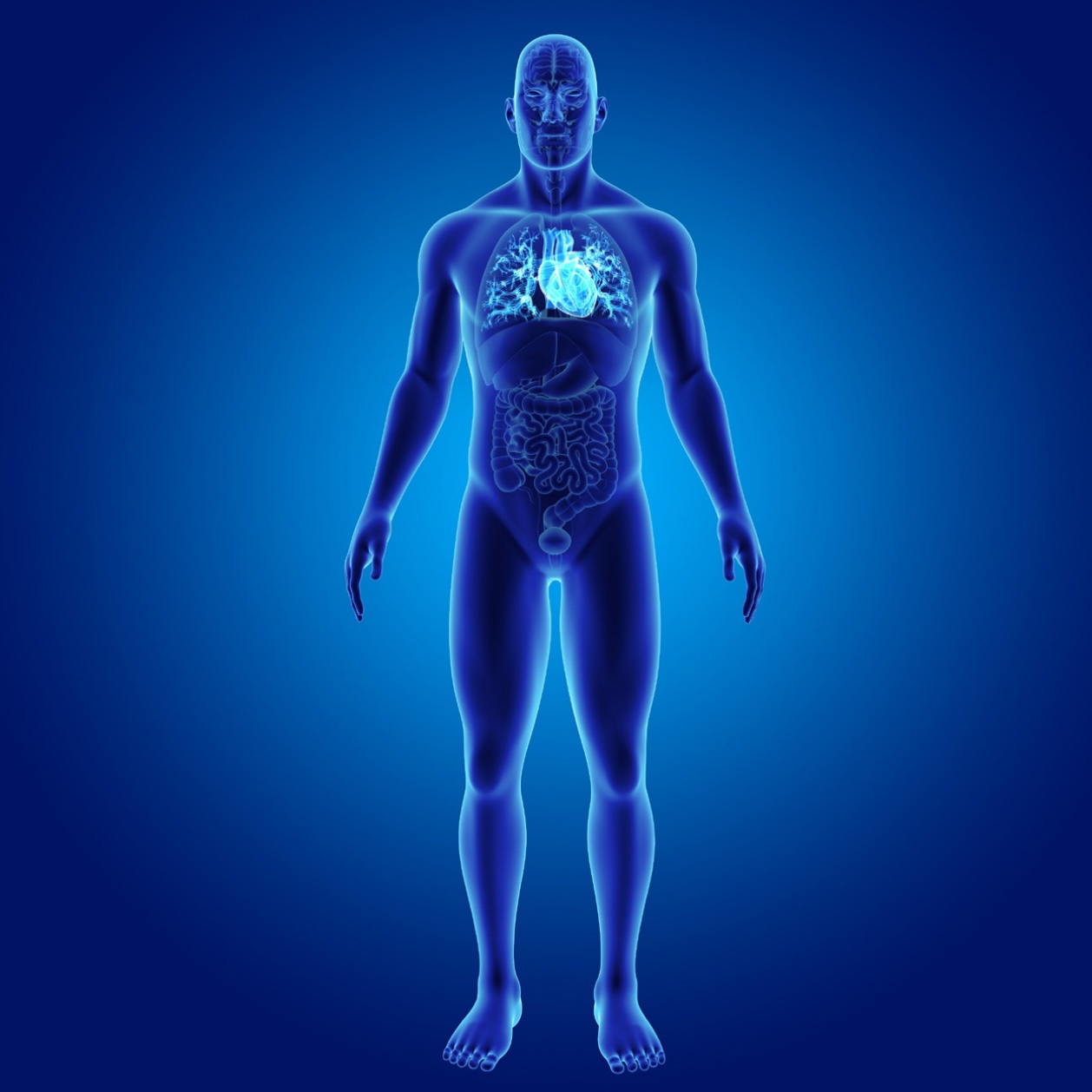 healthy airway check